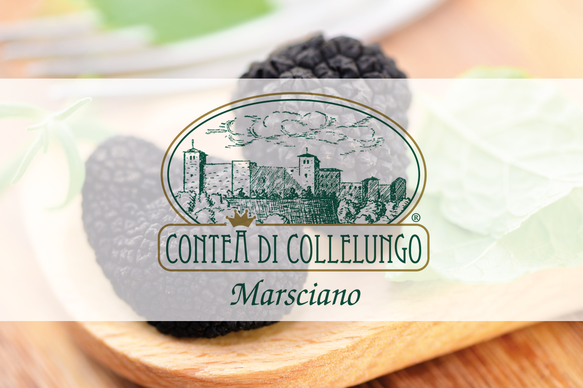 Contea-Cover